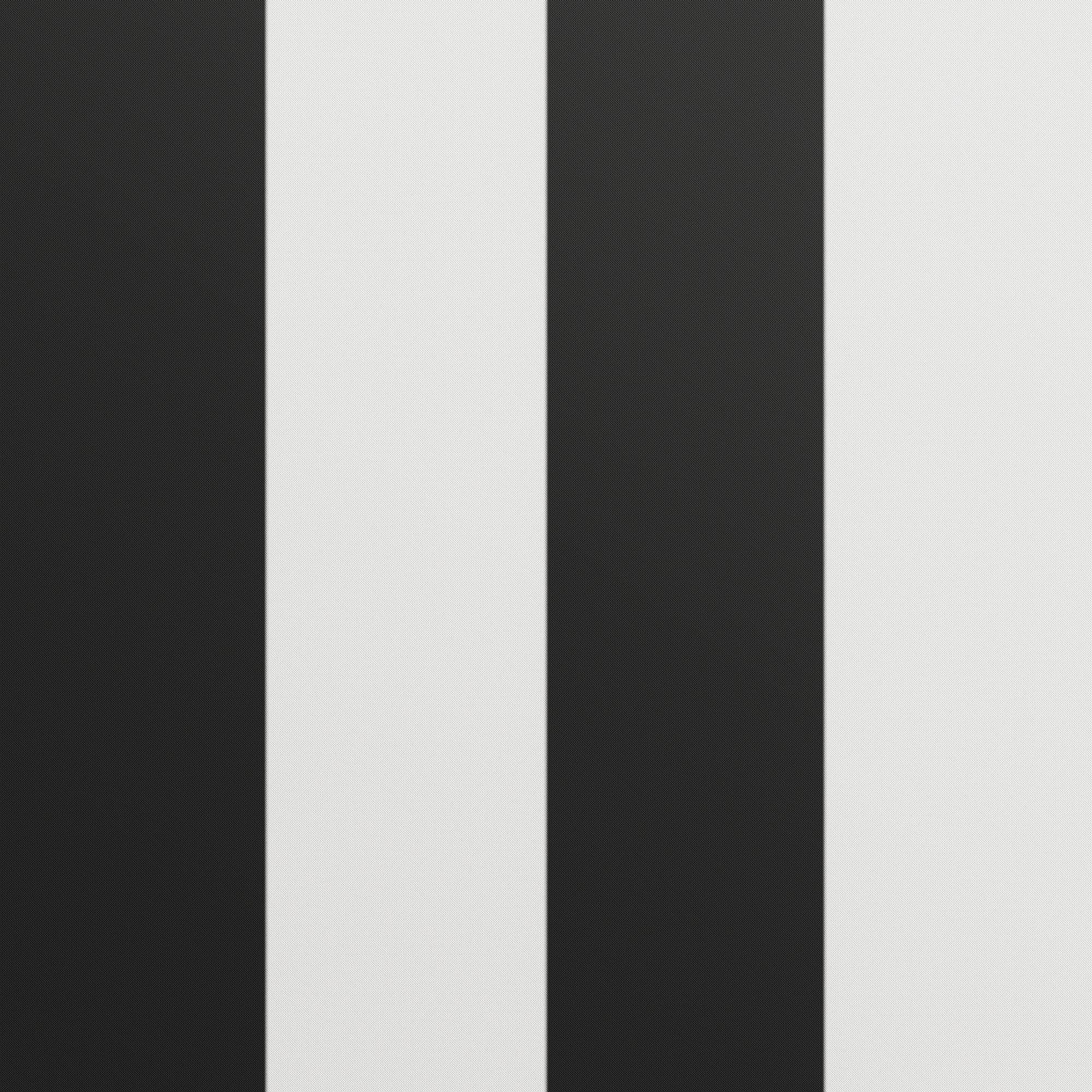 【Furniture】Rowan Valley Forest Loft Bed, Black/White, Twin