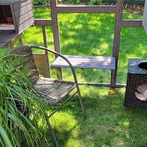 outdoor cat enclosure