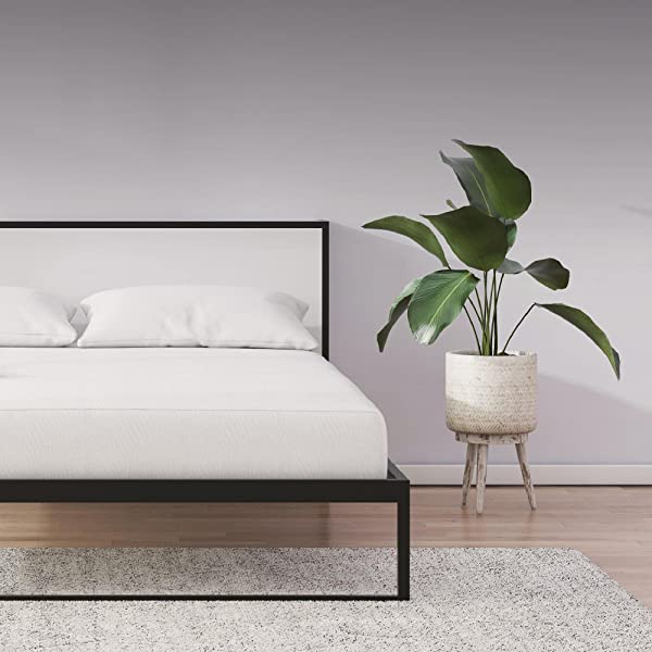 Signature Sleep Memoir 12