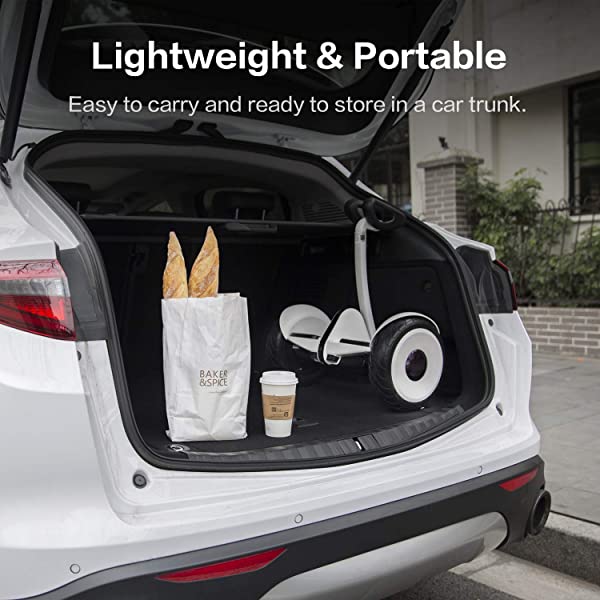 Segway Ninebot S and S-Max Smart Self-Balancing Electric Scooter with LED Light, Powerful and Portable, Compatible with Gokart kit Ninebot S, Black