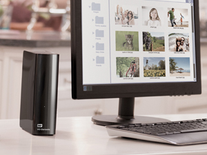 WD Elements Desktop